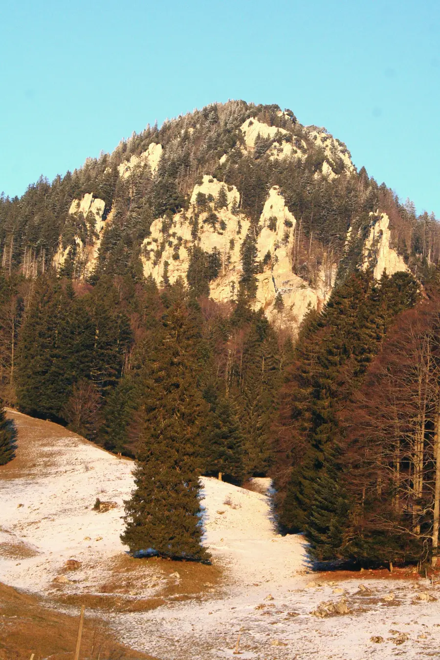 The cliffs of the Aiguilles de Baulmes, in the Jura