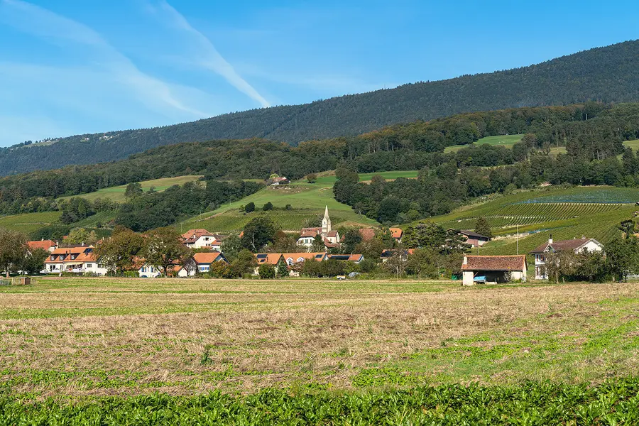 Bonvillars, a wine village in the hills north of Yverdon