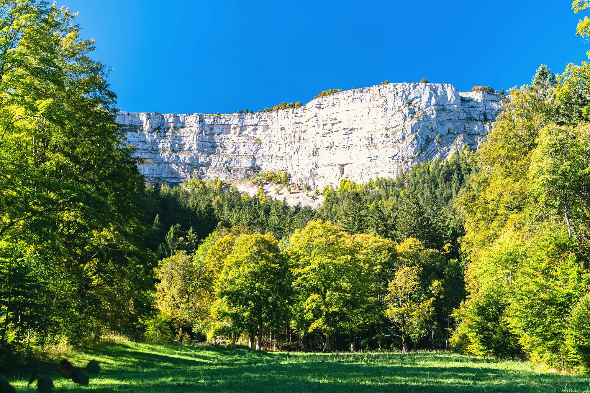 The limestone cliffs of the Creux du Van rock amphitheatre in autumn