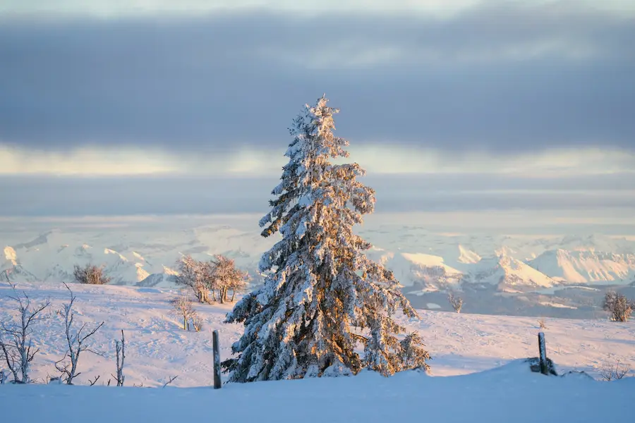 Le Creux du Van, the Jura's vast rock amphitheatre, under snow