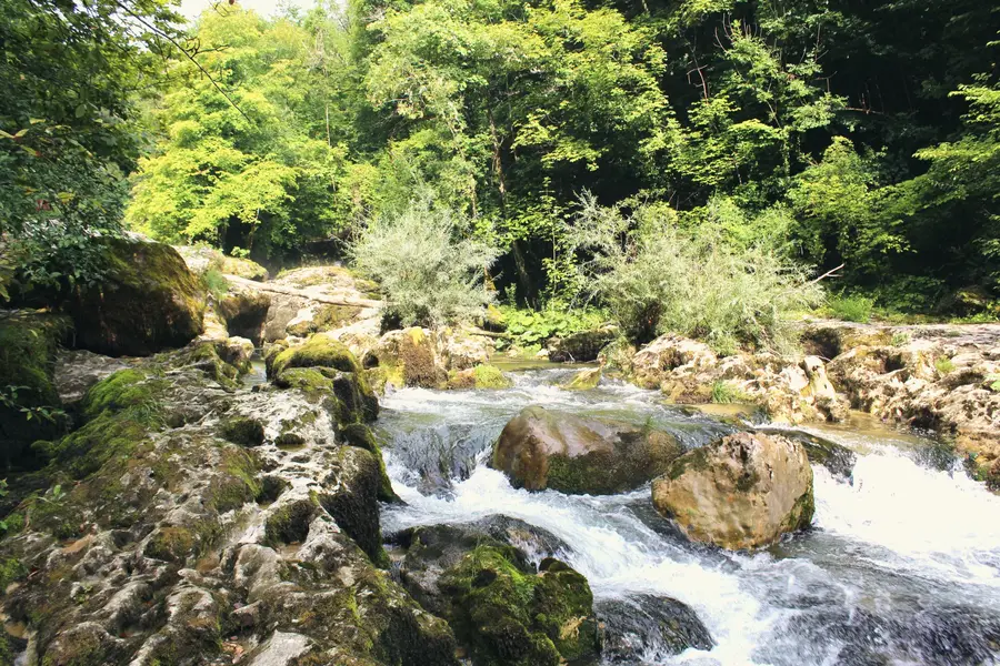 The Orbe gorges below Les Clées