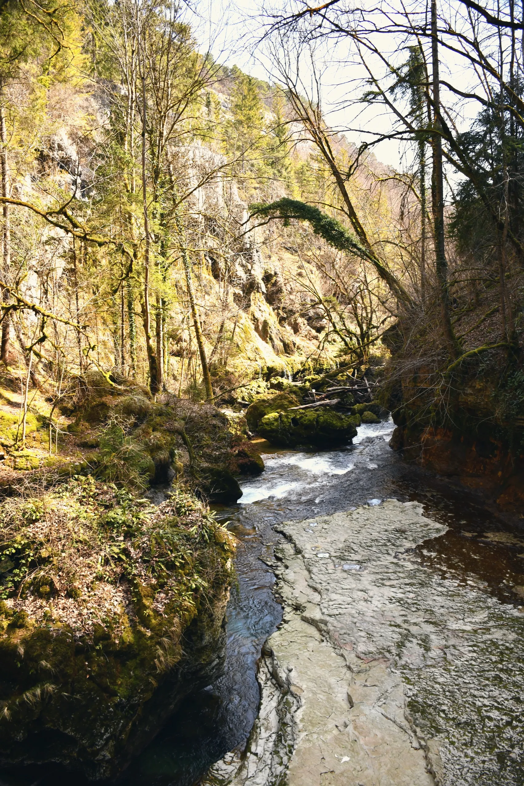 The river Orbe deep in its gorge