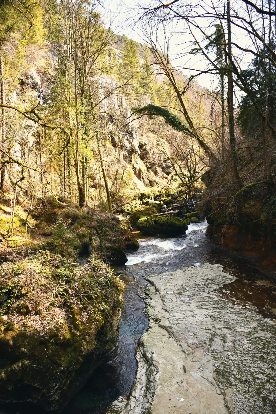 The river Orbe deep in its gorge