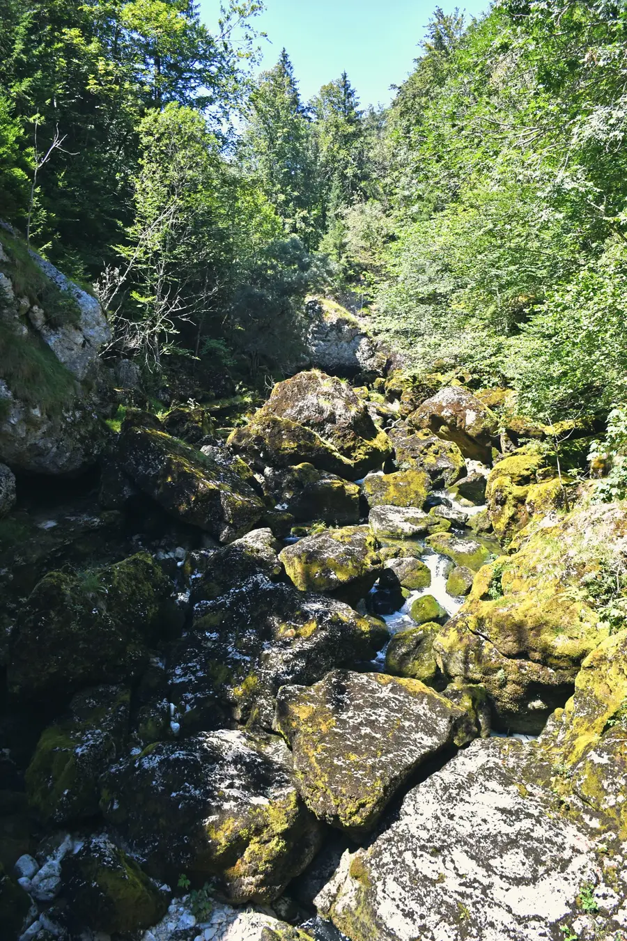 The Gorges de l'Orbe, where the river cuts through the Jura