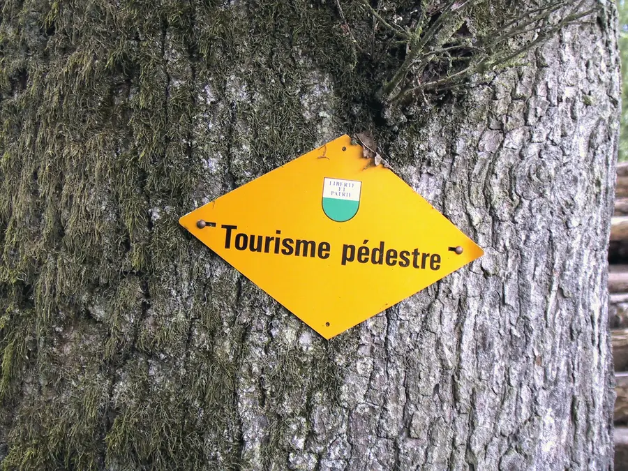 A yellow Swiss hiking waymark, the sign of the marked trail network
