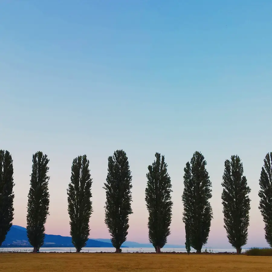 Lake Neuchâtel from the Yverdon shore