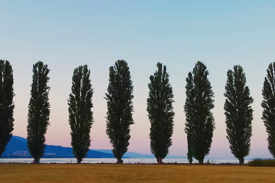The Parc des Rives, Yverdon's lakefront park