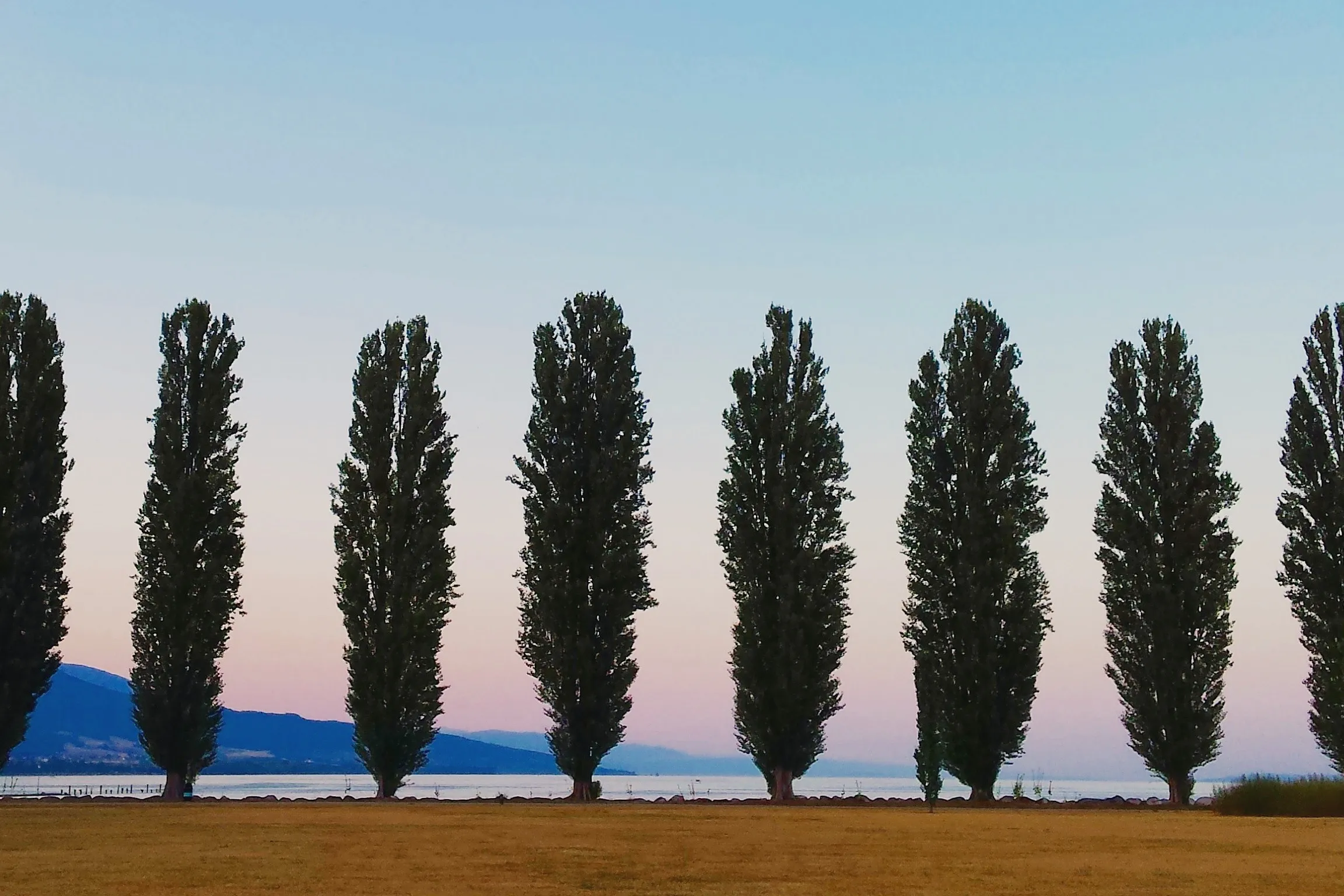 The Parc des Rives, Yverdon's lakefront park