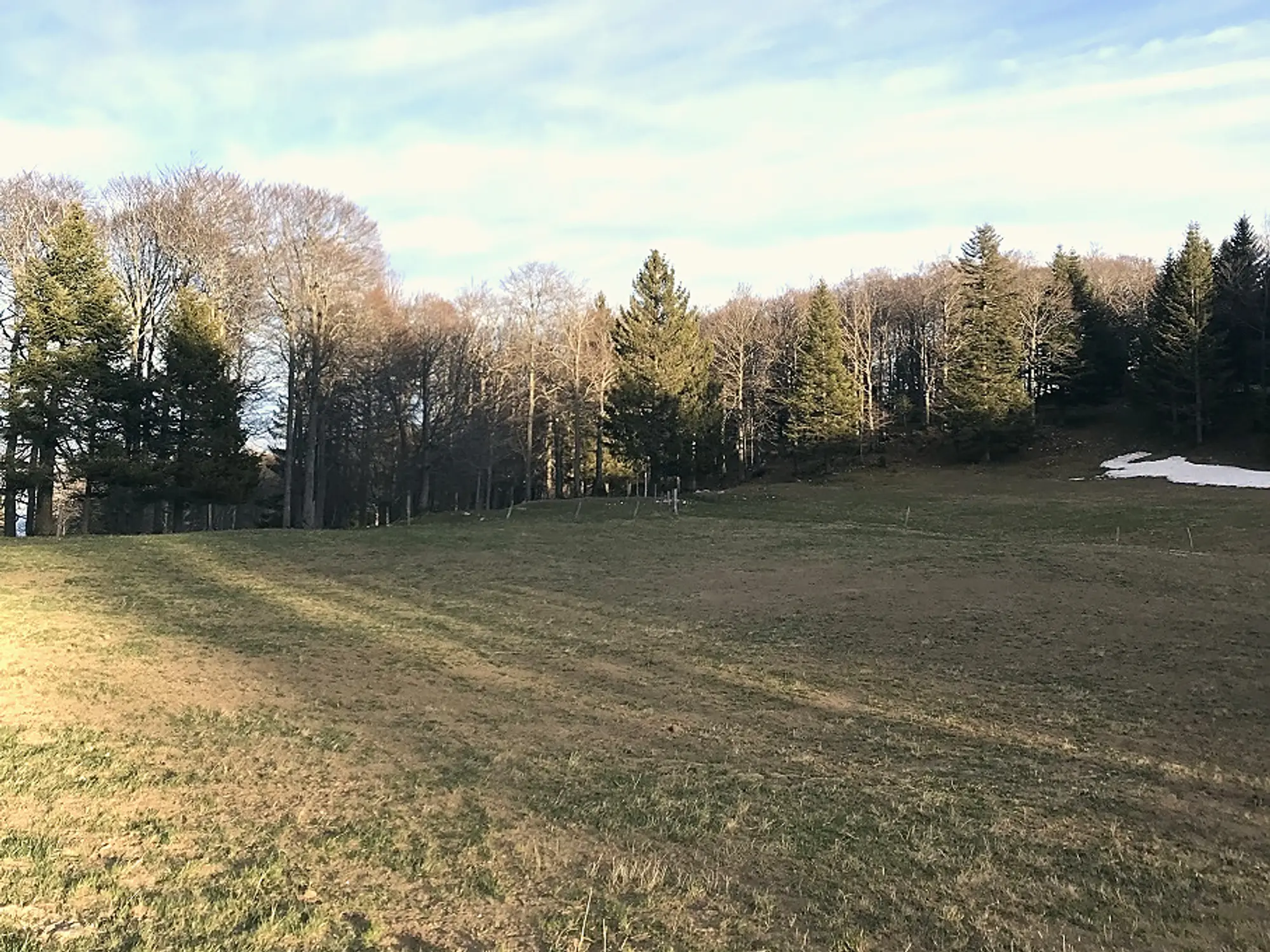 Jura pastures and forest on the slopes of the Mont Aubert, above Mutrux