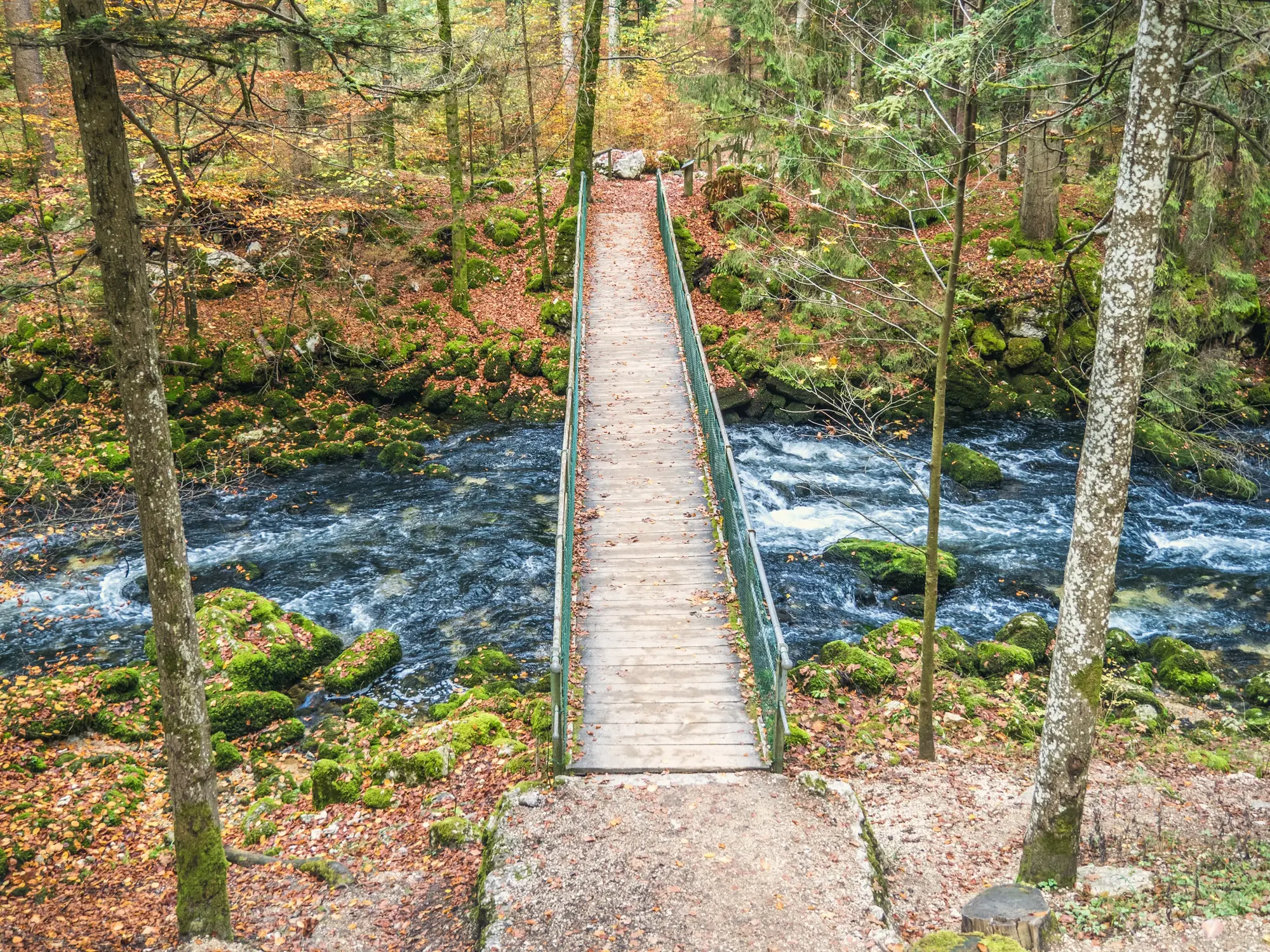 A footbridge over the river Orbe, near Vallorbe