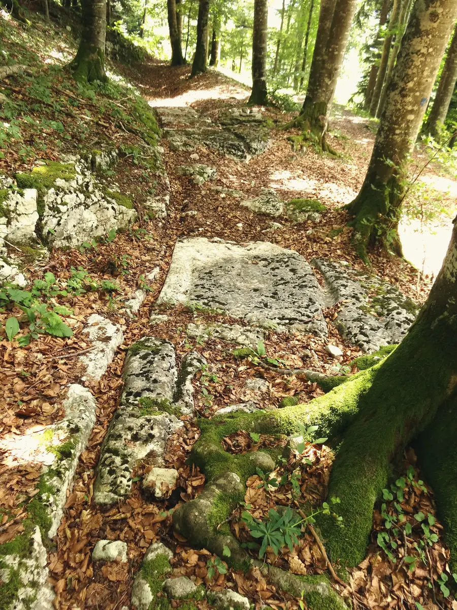 The Route du Sel, the old salt road between Vuiteboeuf and Sainte-Croix