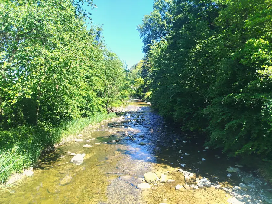 The Ruisseau des Vaux running through the wooded Vallon des Vaux
