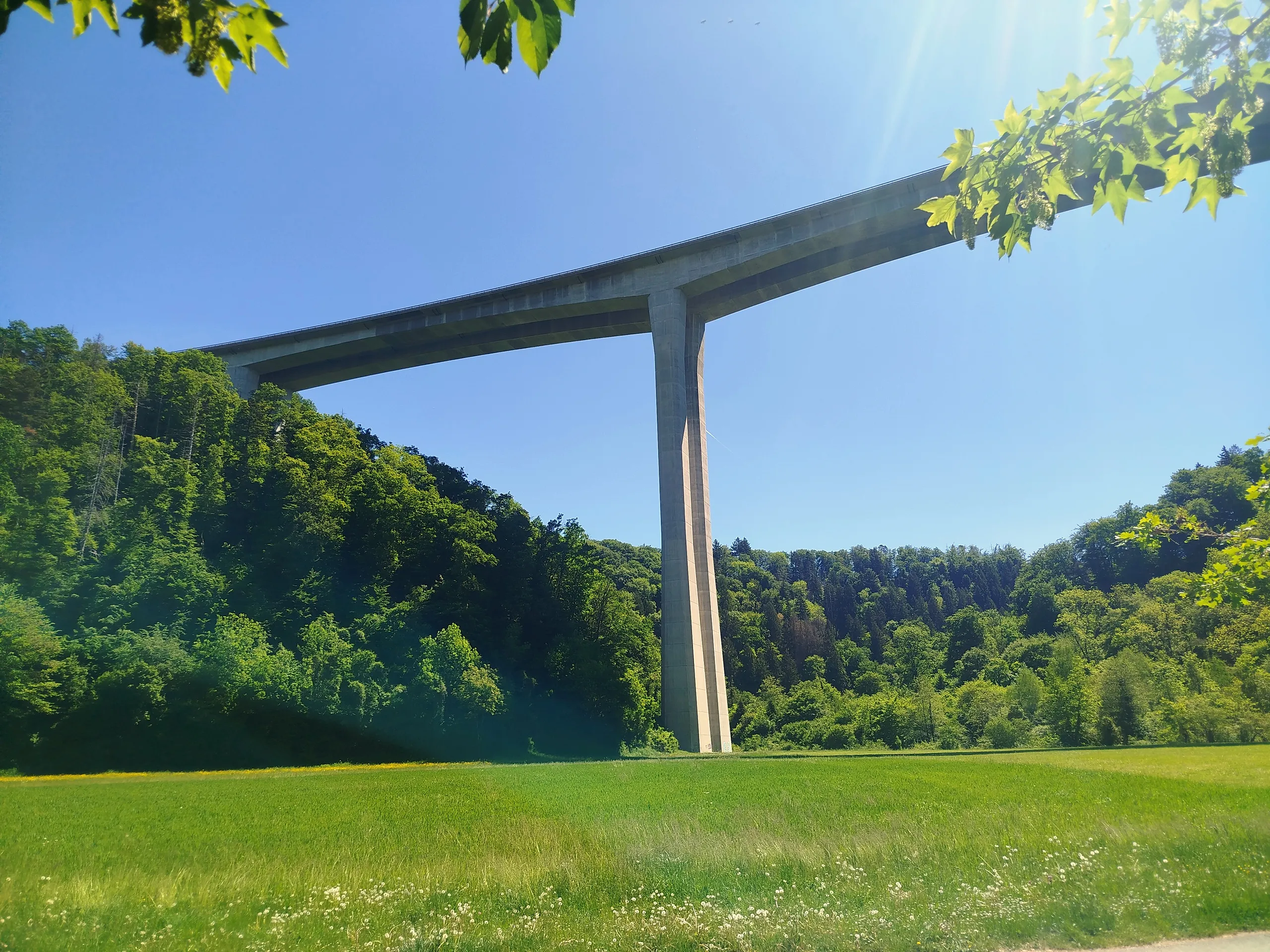 A motorway viaduct striding over the wooded Vallon des Vaux
