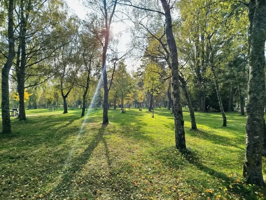 The lakeside park at Yverdon, under autumn light